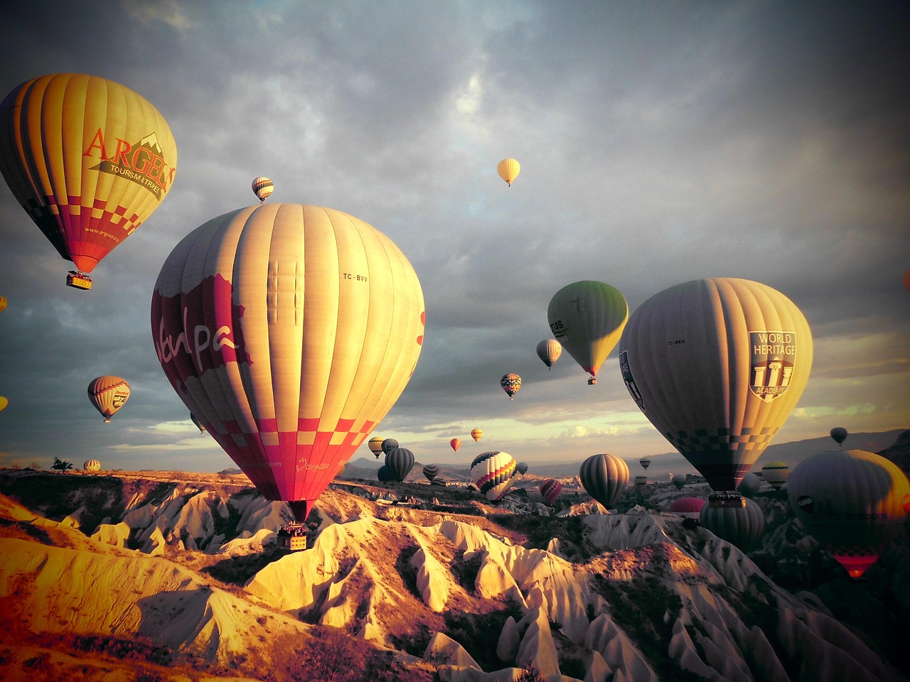 1746600476238390.jpg turkey-355498_1280.jpg